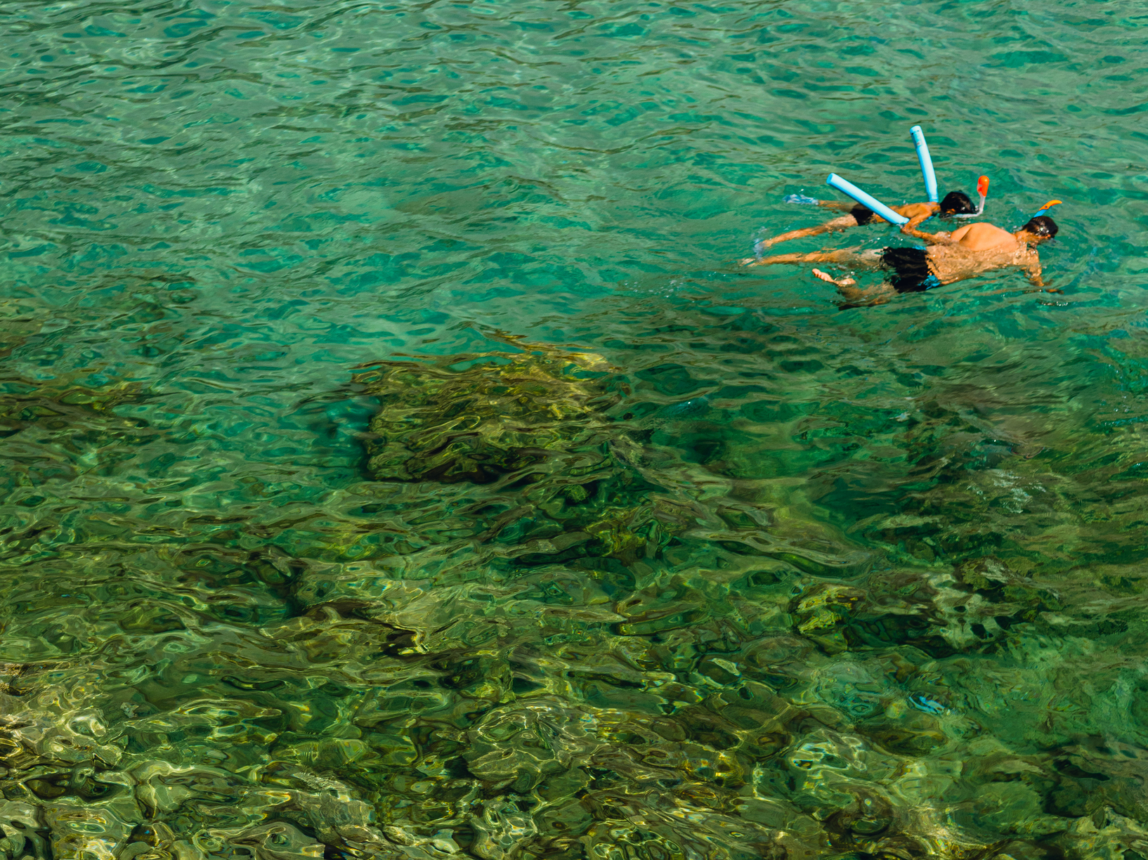 snorklers